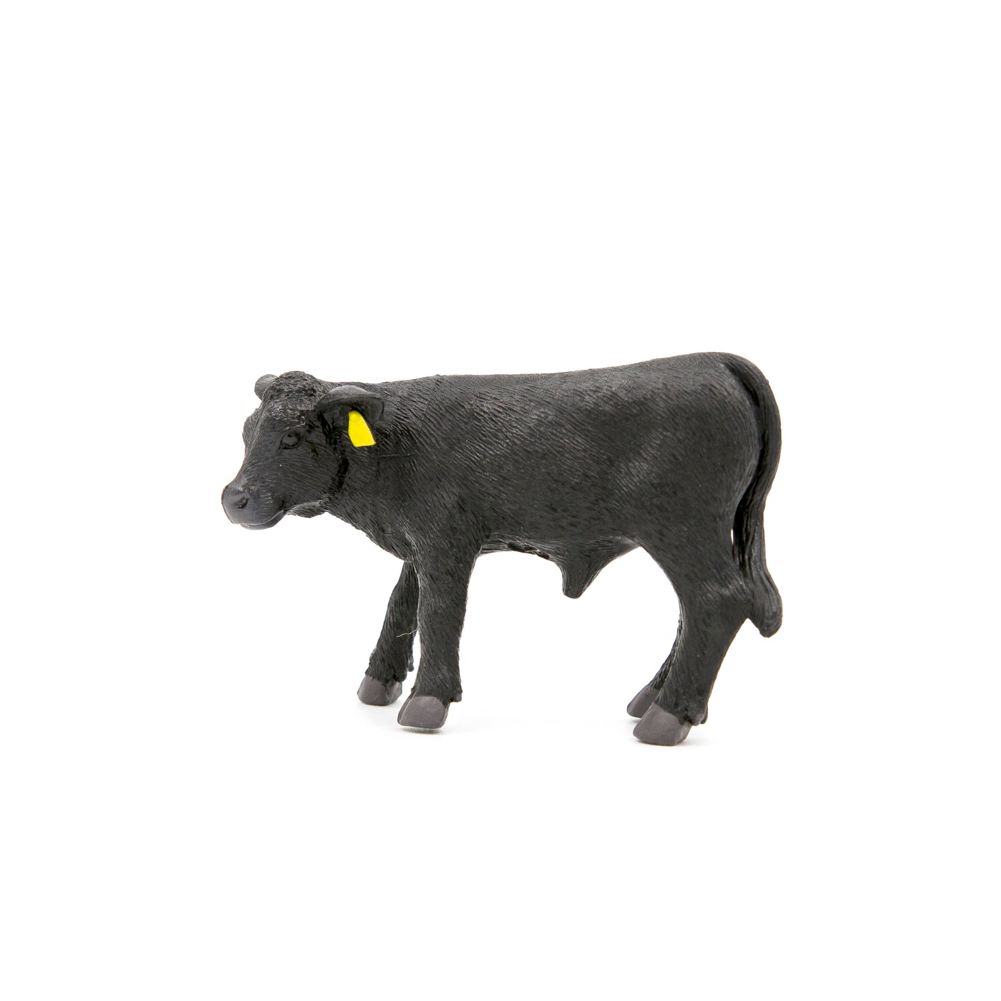 Angus Calf- PRE ORDER
