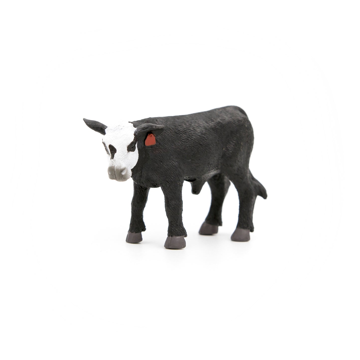 Black/White Face Calf- PRE ORDER