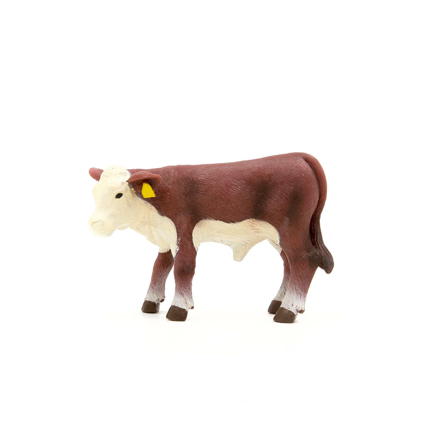 Hereford Calf- PRE ORDER