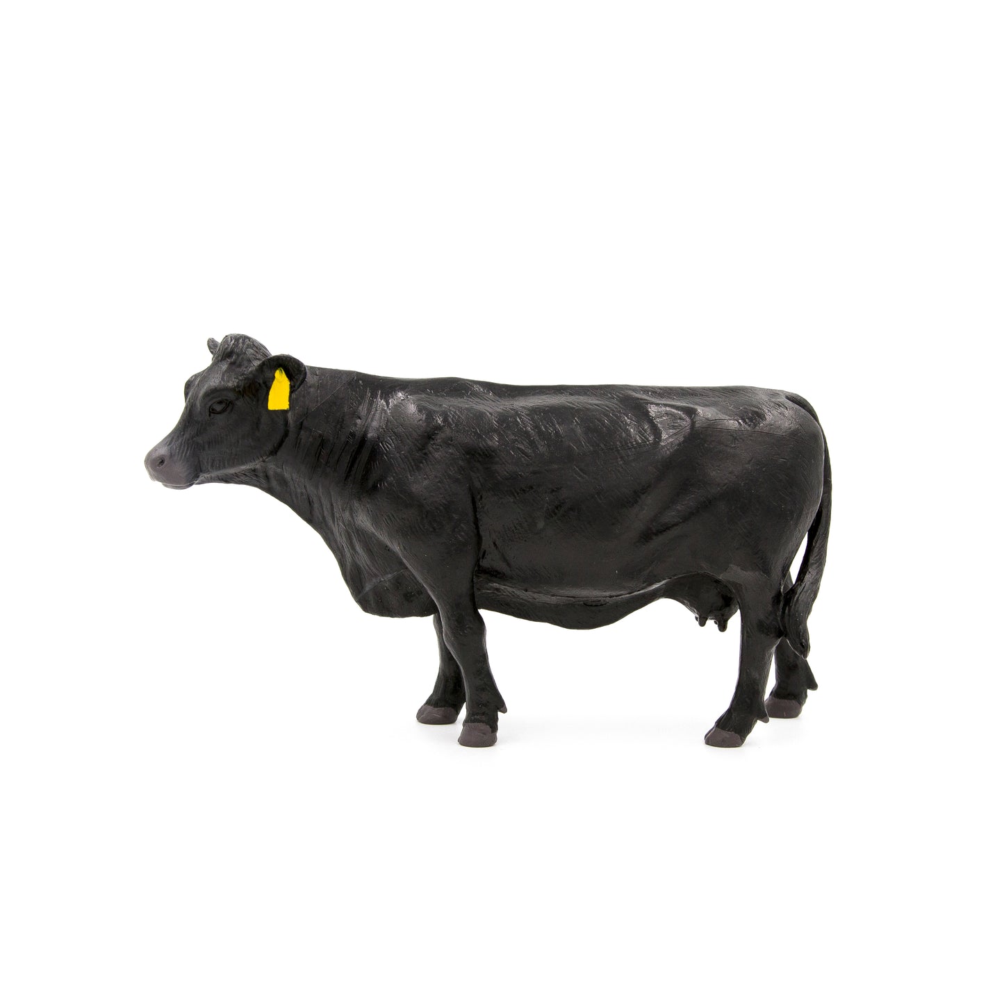 Angus Cow- PRE ORDER