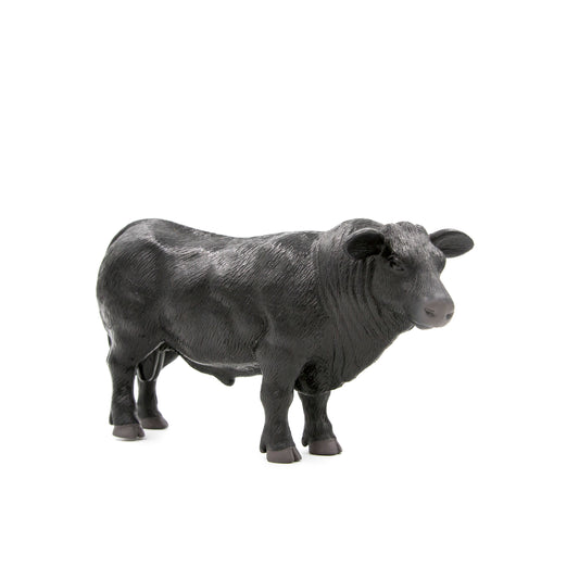 Angus Bull- PRE ORDER