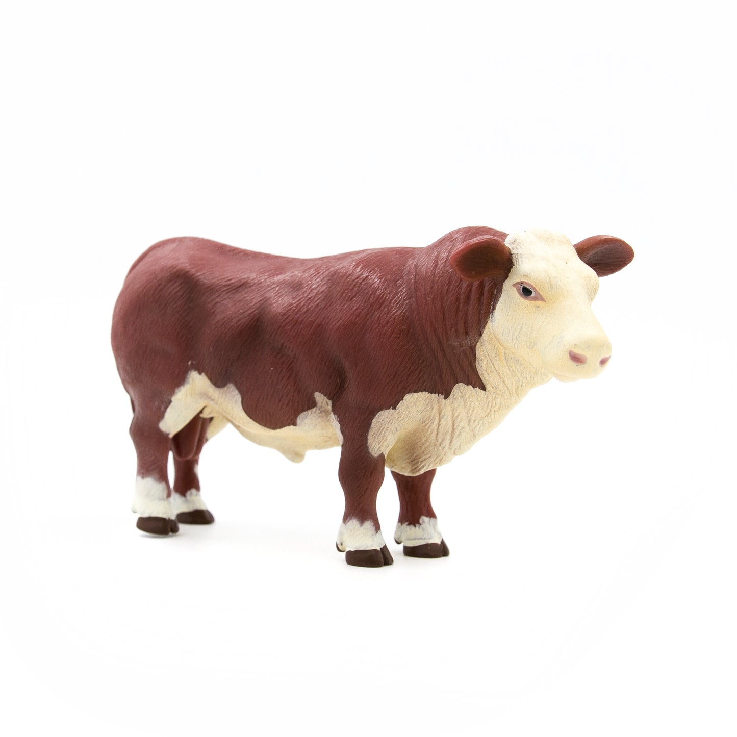 Hereford Bull- PRE ORDER