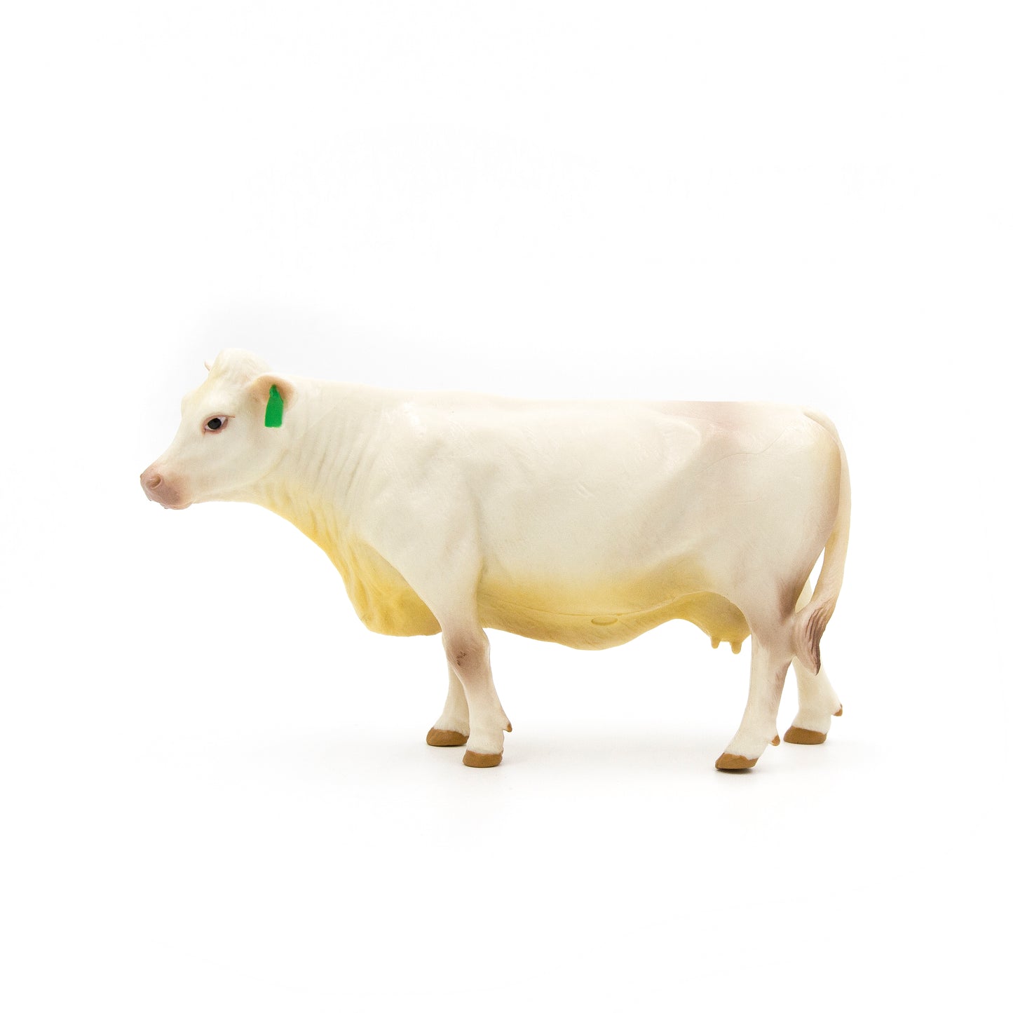 Charolais Cow- PRE ORDER