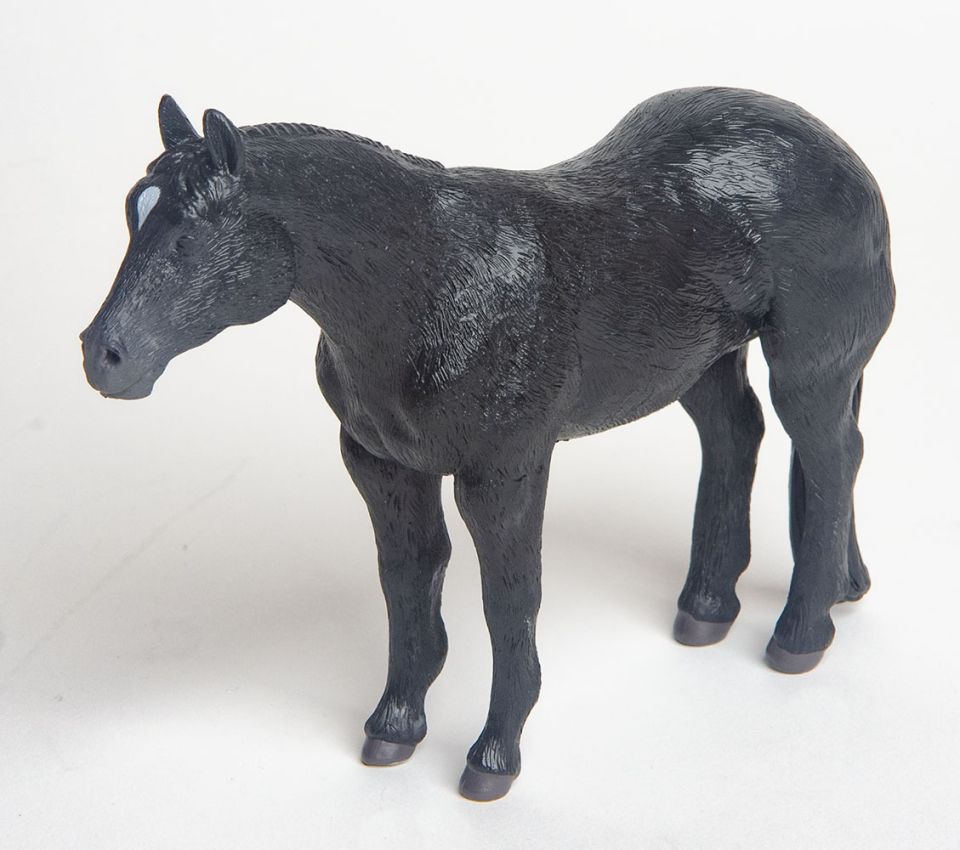 Quarter Horse Black