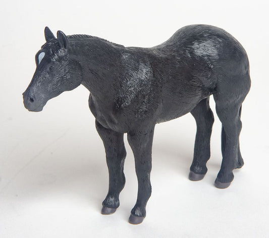 Quarter Horse Black
