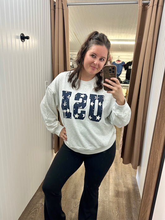 USA Embroidered Sweatshirt