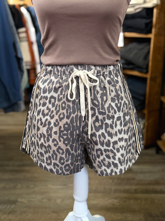 Leopard Side Stripe Shorts